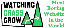 a site banner which says 'Watching Grass Grow, most boring/exciting website in the world'