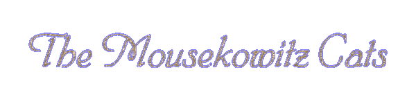glittery cursive logo that says 'The Mousekowitz Cats'