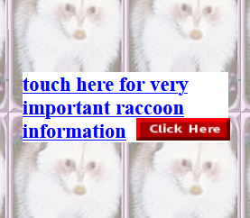 a cropped screenshot of a geocities page which says 'touch here for very important raccoon information'